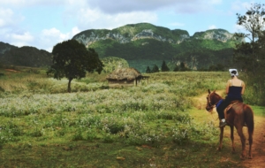 Combien de temps faut-il pour apprendre à monter à cheval ?