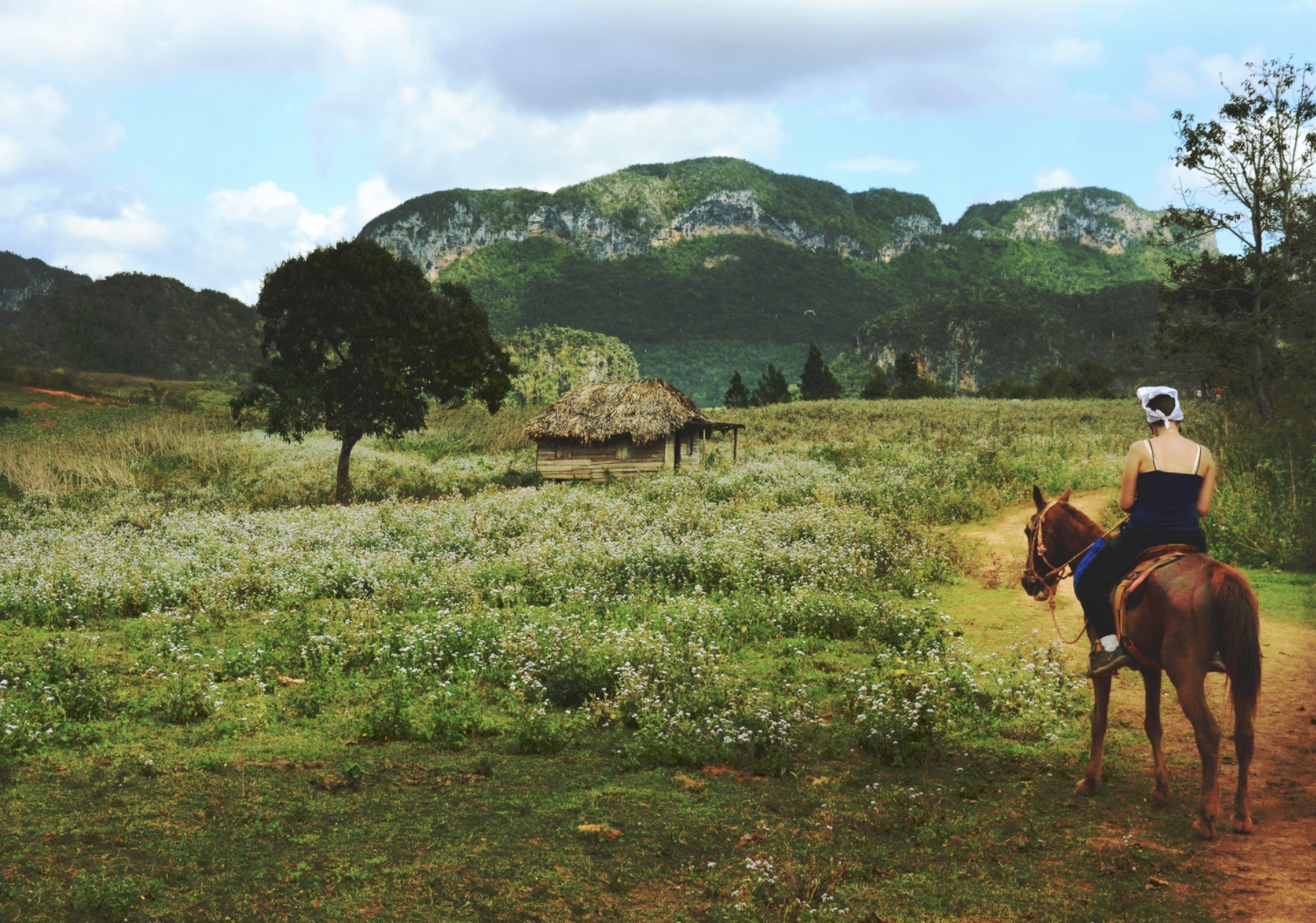 apprendre à monter à cheval