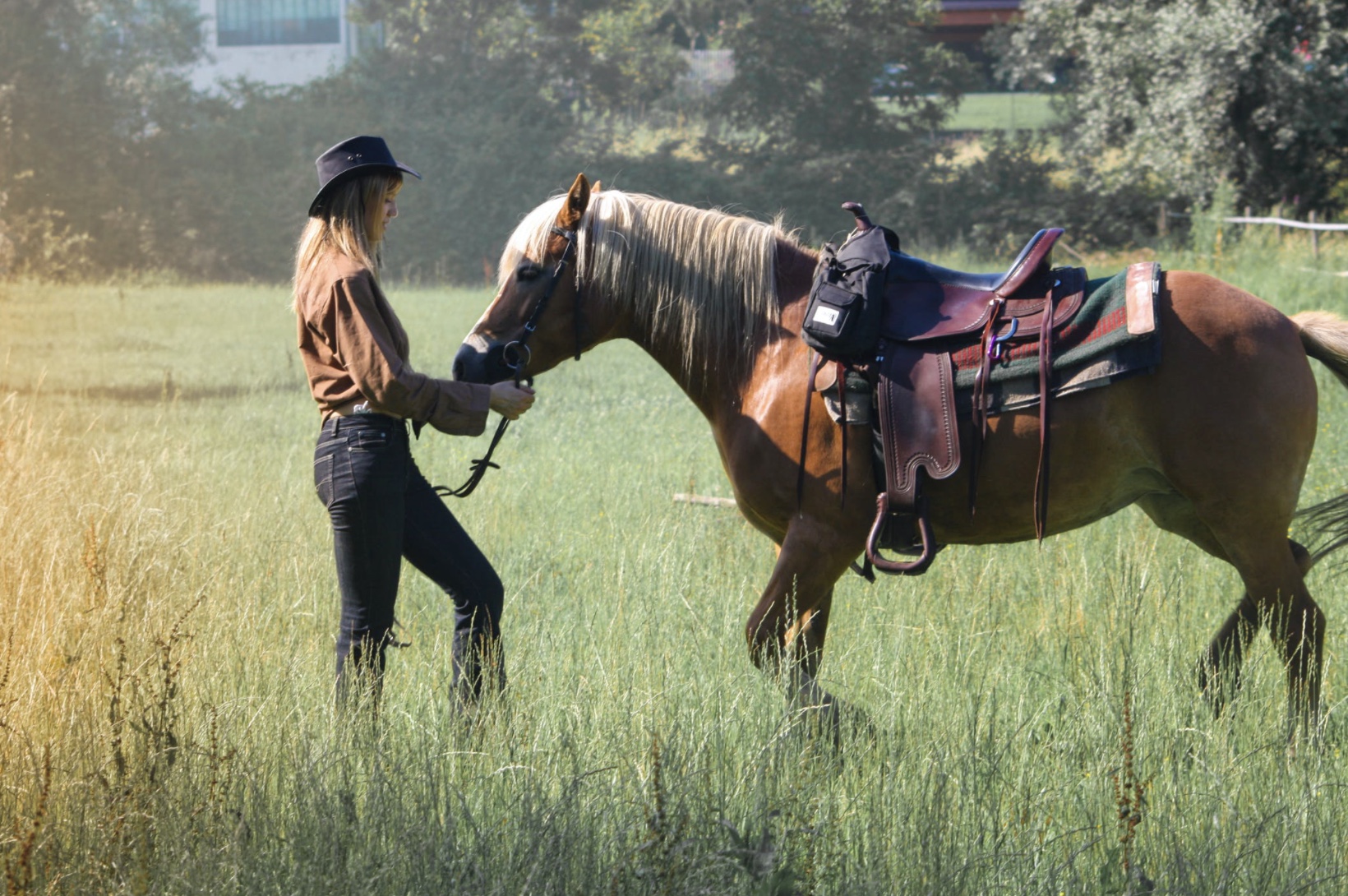 équitation